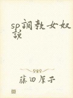 sp调教女奴小说