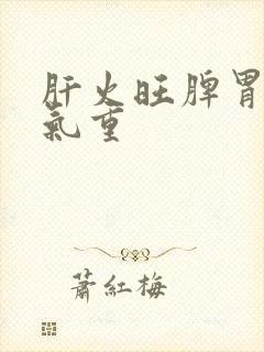 肝火旺脾胃虚湿气重