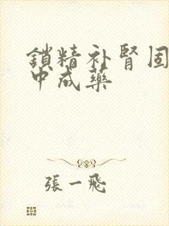 锁精补肾固阳的中成药