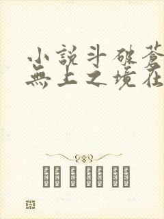 小说斗破苍穹之无上之境在线阅读
