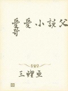 爱爱小说父女哥哥