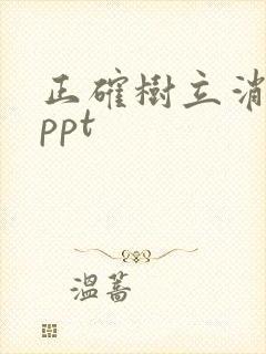 正确树立消费观ppt