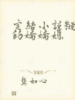 完结小说糙汉家的娇娇媳