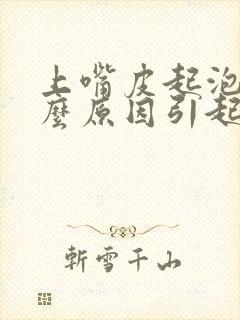 上嘴皮起泡是什么原因引起的