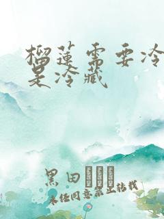 榴莲需要冷冻还是冷藏