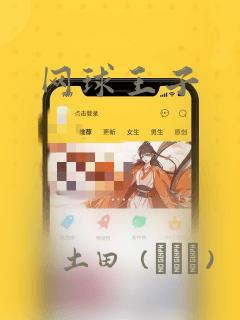 网球王子：结局+番外