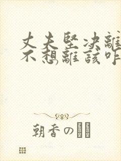 丈夫坚决离婚我不想离该咋样挽救