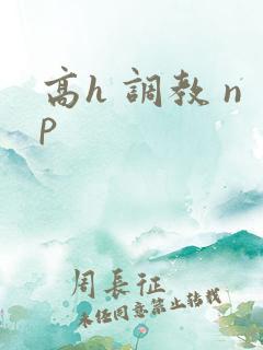 高h 调教 np