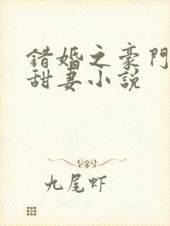 错婚之豪门第一甜妻小说