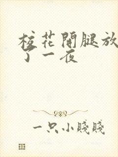 校花开腿放我爽了一夜