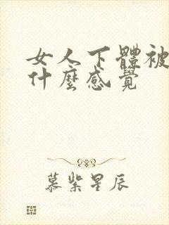 女人下体被舔是什么感觉