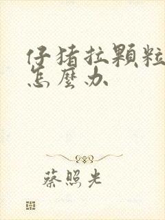 仔猪拉颗粒粪便怎么办