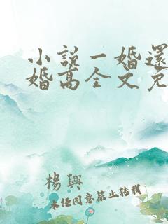 小说一婚还比一婚高全文免费阅读晨雾的光
