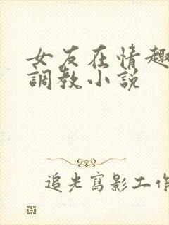 女友在情趣店被调教小说