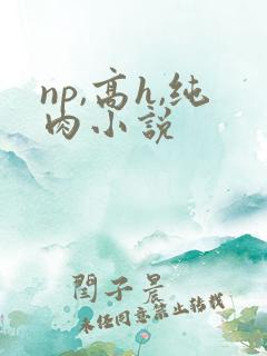 np,高h,纯肉小说