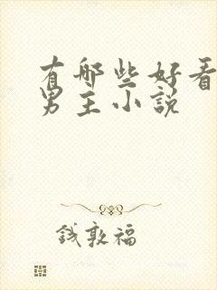 有哪些好看的双男主小说