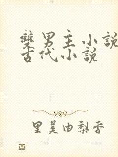 双男主小说推荐古代小说