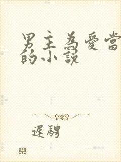 男主为爱当小三的小说