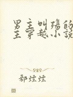 男主叫殇的,女主穿越小说