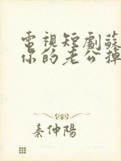 电视短剧苏小姐你的老公掉了