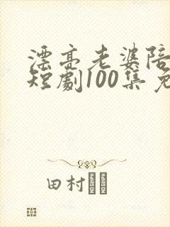 漂亮老婆陪过年短剧100集免费观看