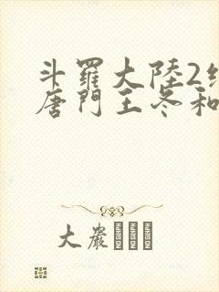 斗罗大陆2绝世唐门王冬和霍雨浩