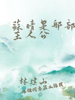 苏晴是哪部小说主人公