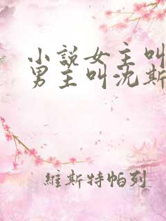 小说女主叫姜念男主叫沈斯年