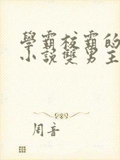 学霸校霸的校园小说双男主