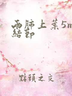 两肺上叶5mm结节