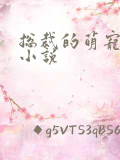 总裁的萌宠娇妻小说