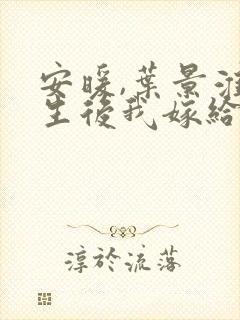 安暖,叶景淮重生后我嫁给了渣男的死对头