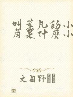 叫叶凡的小说主角是什么小说