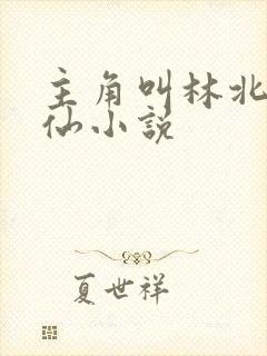 主角叫林北的修仙小说