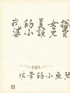 我的美女总裁老婆小说免费听书