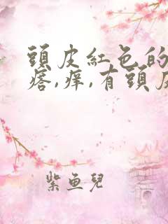 头皮红色的小疙瘩,痒,有头皮屑