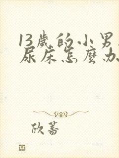 13岁的小男孩尿床怎么办