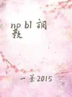 np bl 调教