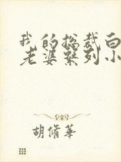 我的总裁白富美老婆系列小说