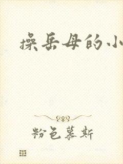 操岳母的小逼