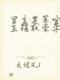 男主是军官对女主强取豪夺