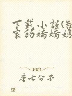 下载小说(糙汉家的娇娇媳)