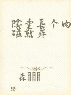 阴囊长个肉粒一碰就疼