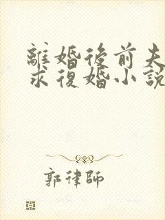 离婚后前夫哭着求复婚小说完整版本