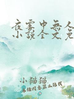 夜雾中无人爱我小说全文免费阅读