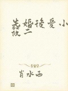 先婚后爱小说梦筱二