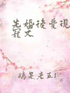 先婚后爱现言甜宠文