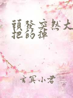 头发突然大把大把的掉