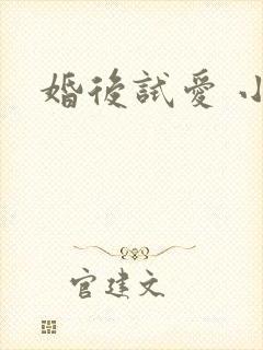 婚后试爱 小说
