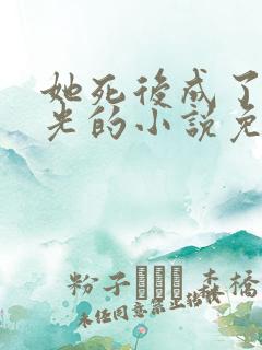 她死后成了白月光的小说免费阅读